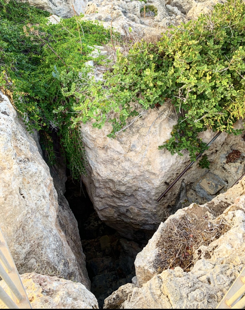 The Myth of Odysseus and Calypso: 7 Years on Ogygia, image size:828x1045